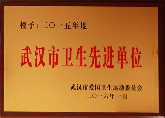 2012年先进事情组